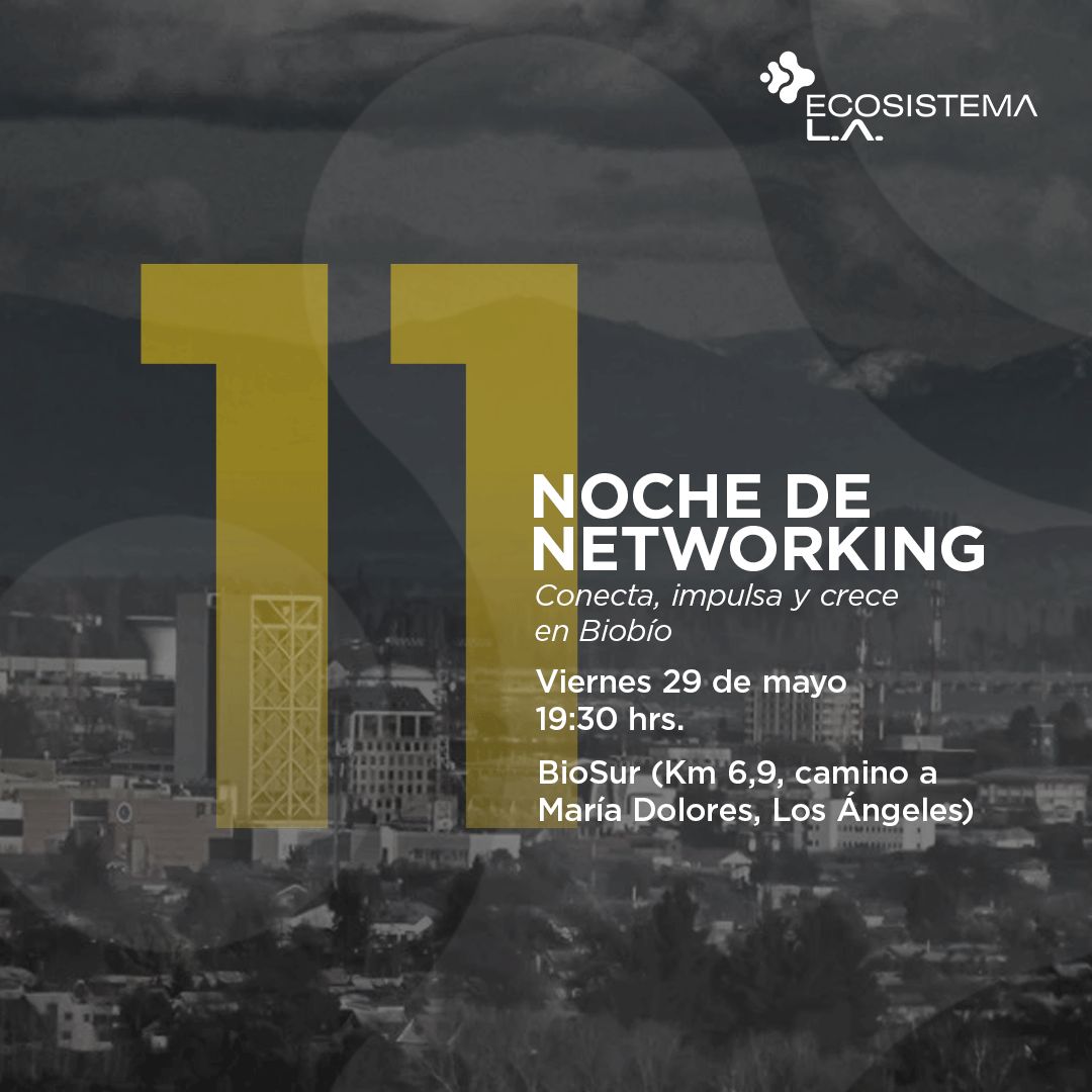 11era Noche de Netyworking